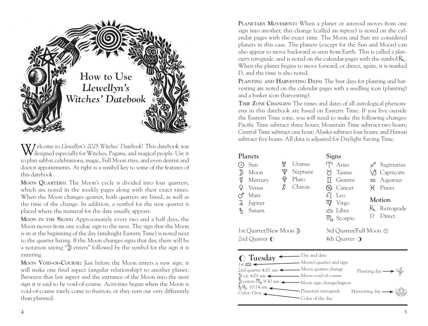 Llewellyn's 2025 Witches' Datebook (Llewellyn's 2025 Calendars, Almanacs & Datebooks, 17)