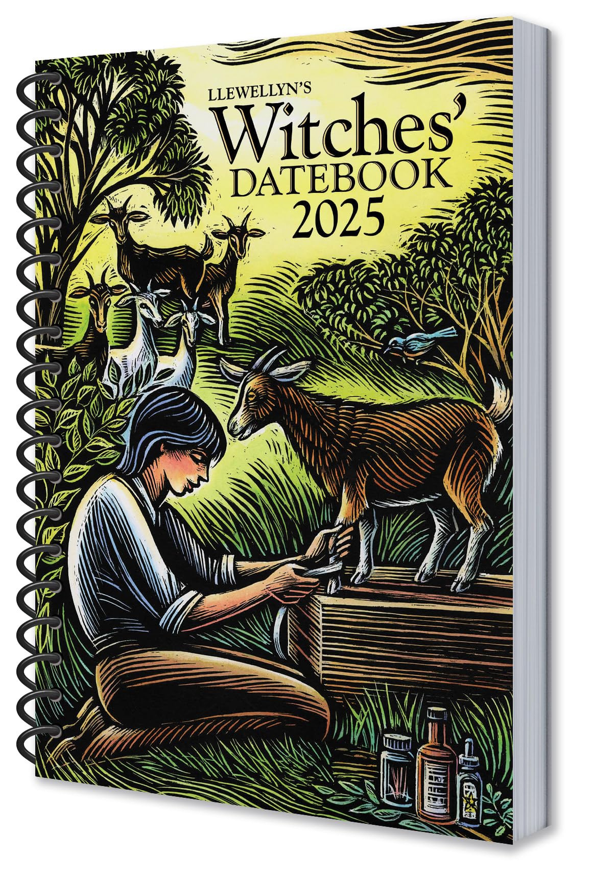 Llewellyn's 2025 Witches' Datebook (Llewellyn's 2025 Calendars, Almanacs & Datebooks, 17)
