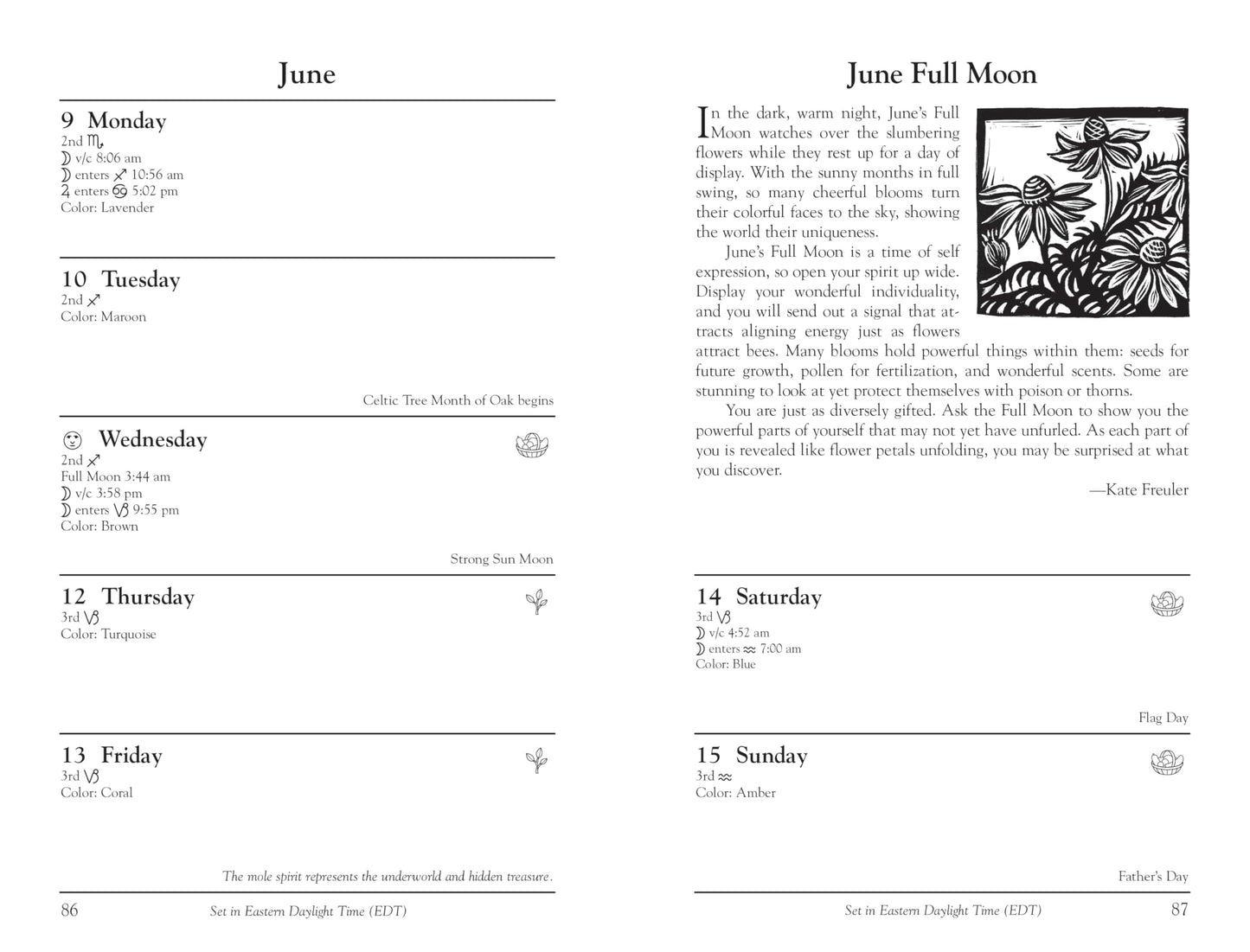 Llewellyn's 2025 Witches' Datebook (Llewellyn's 2025 Calendars, Almanacs & Datebooks, 17)