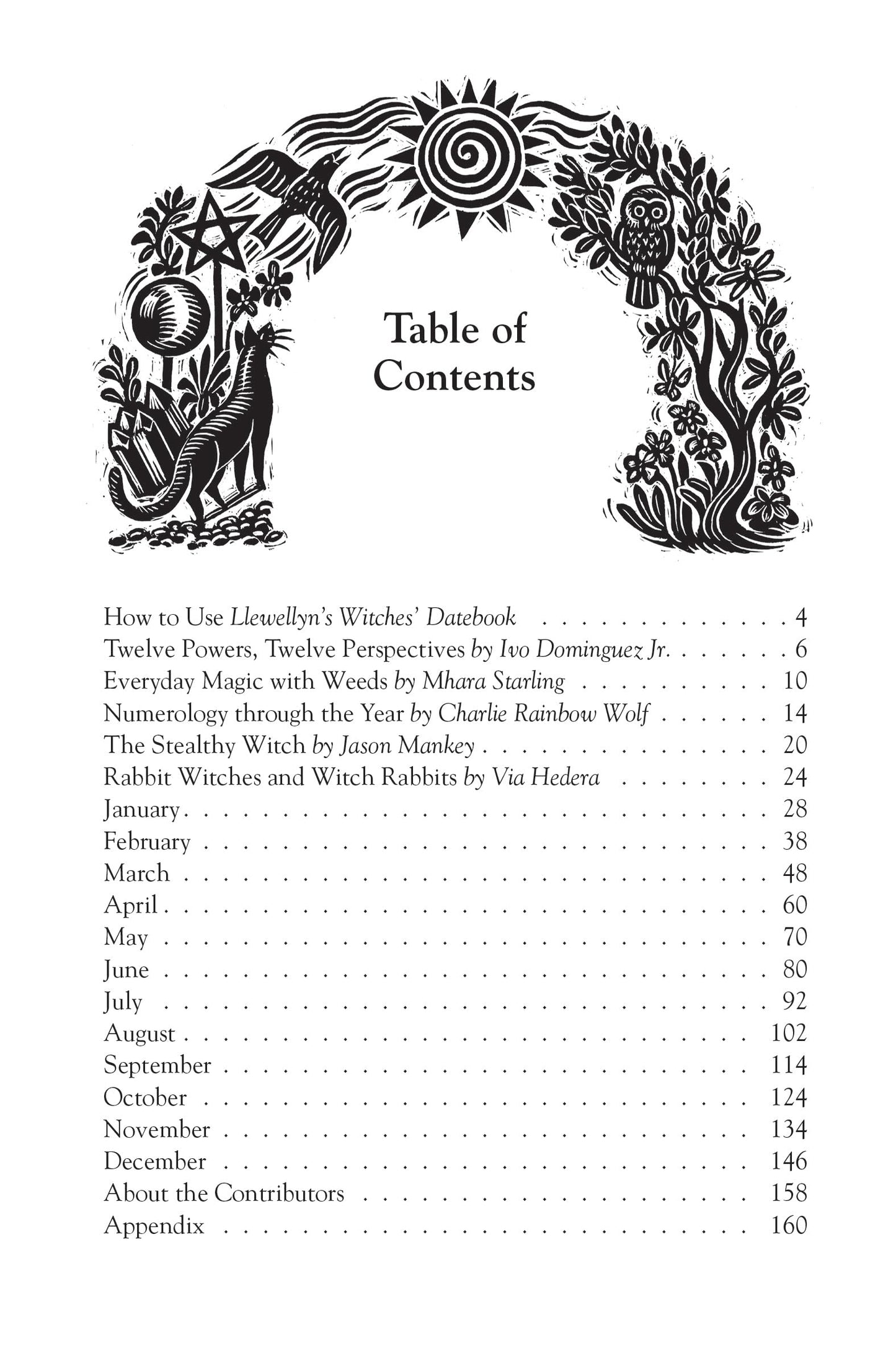 Llewellyn's 2025 Witches' Datebook (Llewellyn's 2025 Calendars, Almanacs & Datebooks, 17)