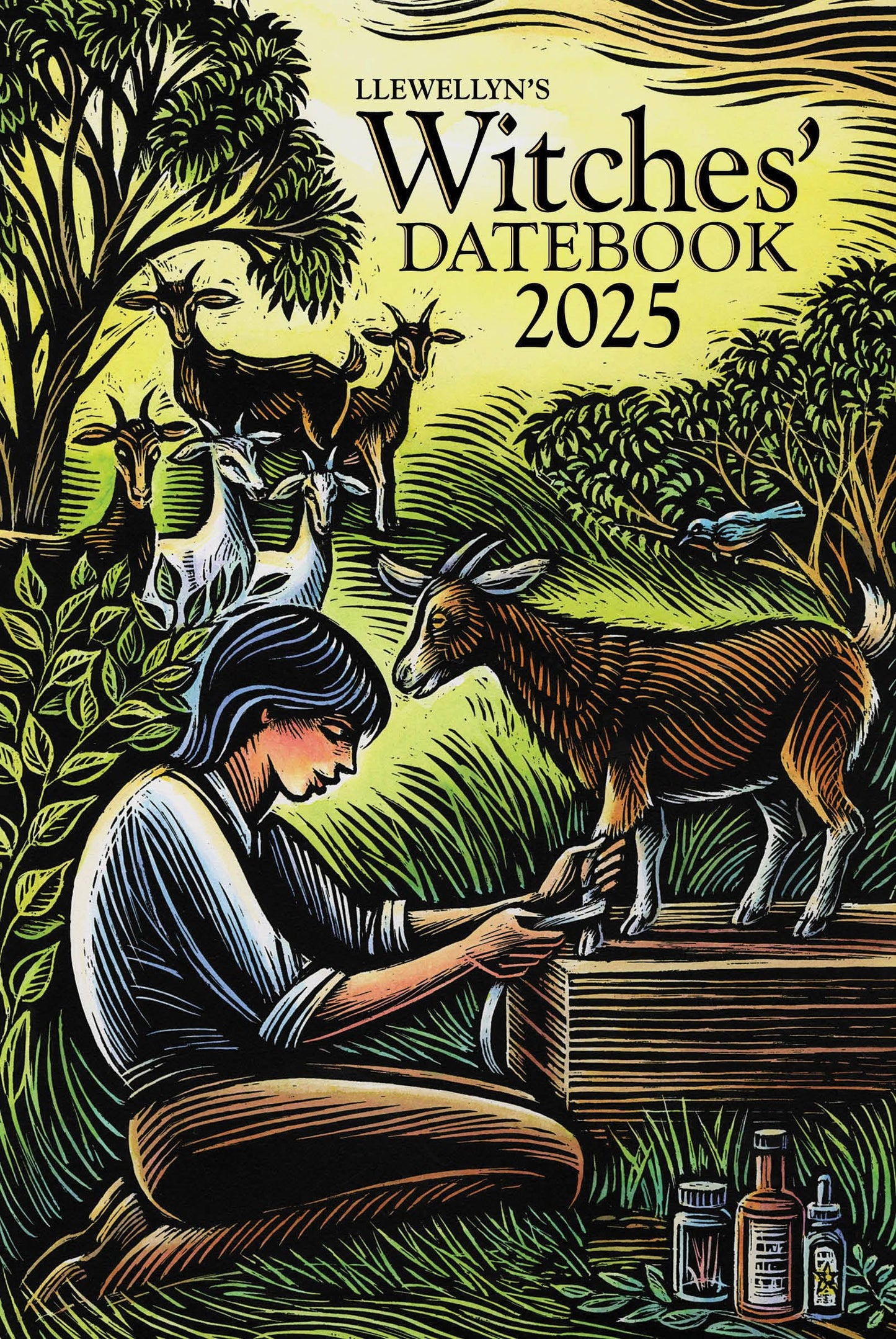Llewellyn's 2025 Witches' Datebook (Llewellyn's 2025 Calendars, Almanacs & Datebooks, 17)